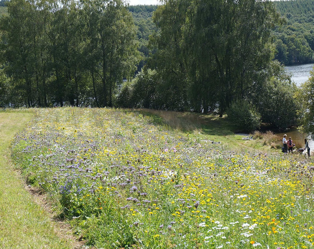 Boire l’eau du lac – Appel à résidence 2