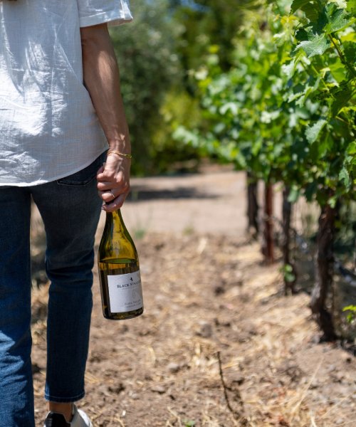 Black Stallion Estate Winery 3