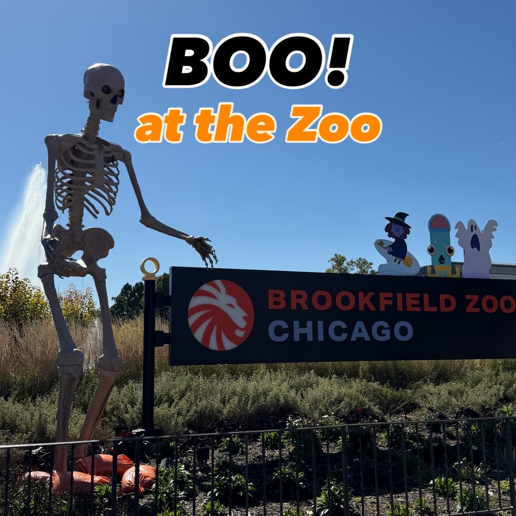 BOO! at the Zoo