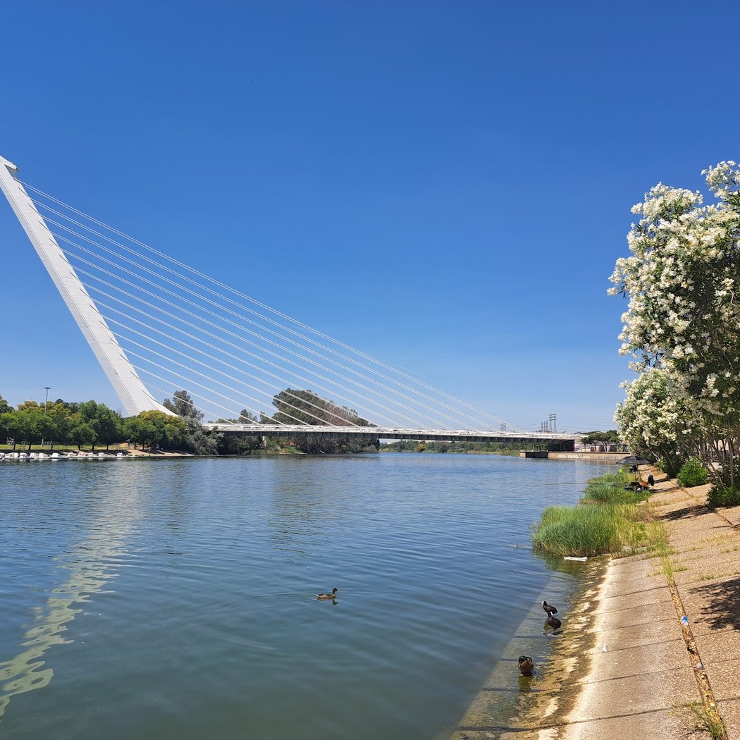 Glorieta Olímpica 1