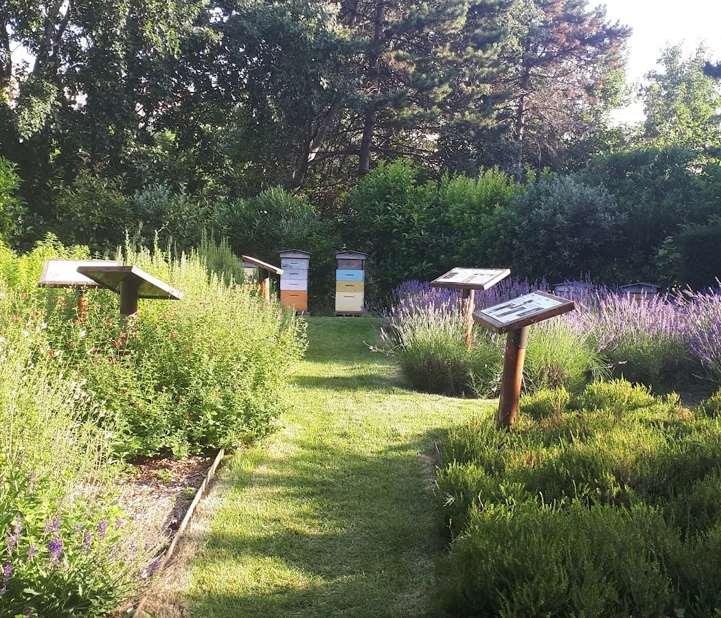 Le rucher des abeilles de l'île de la Jatte 1