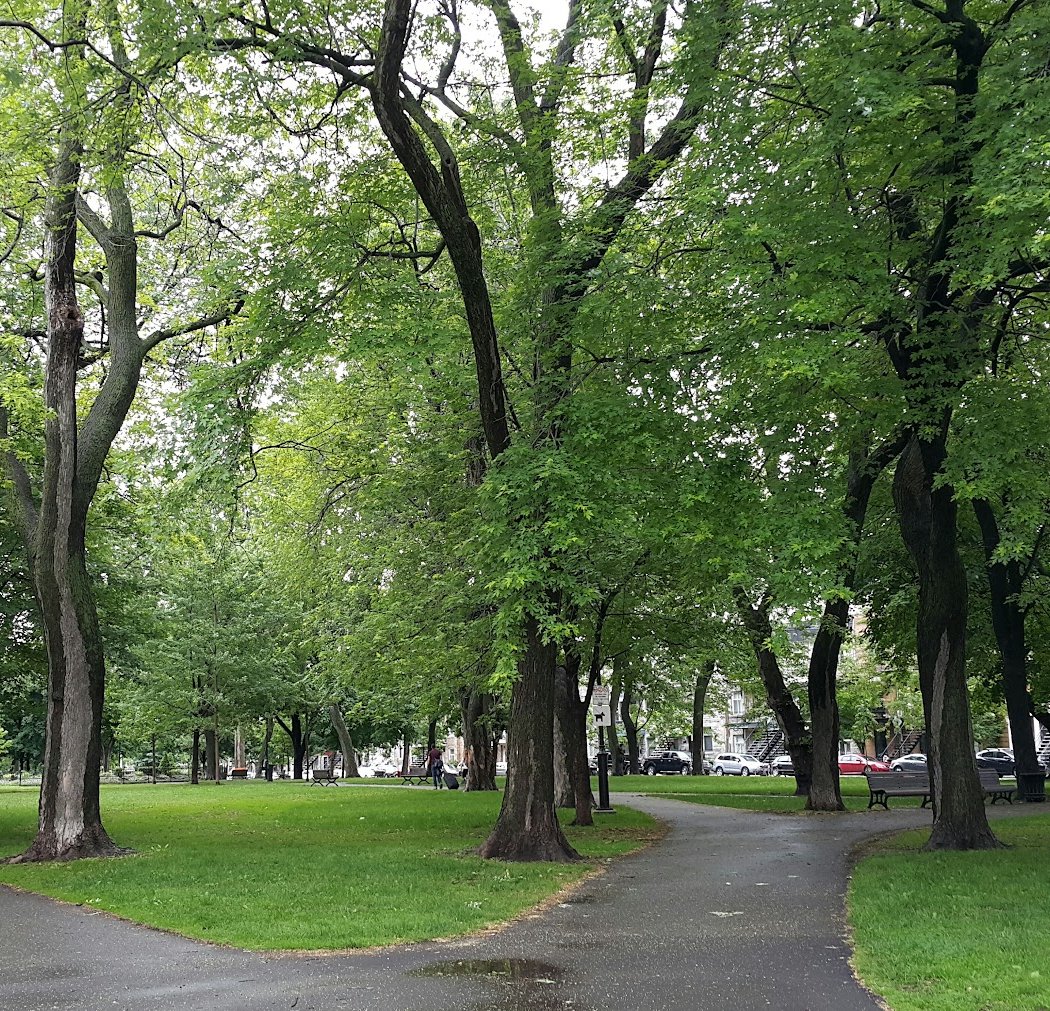 Sir-George-Étienne-Cartier Park 2