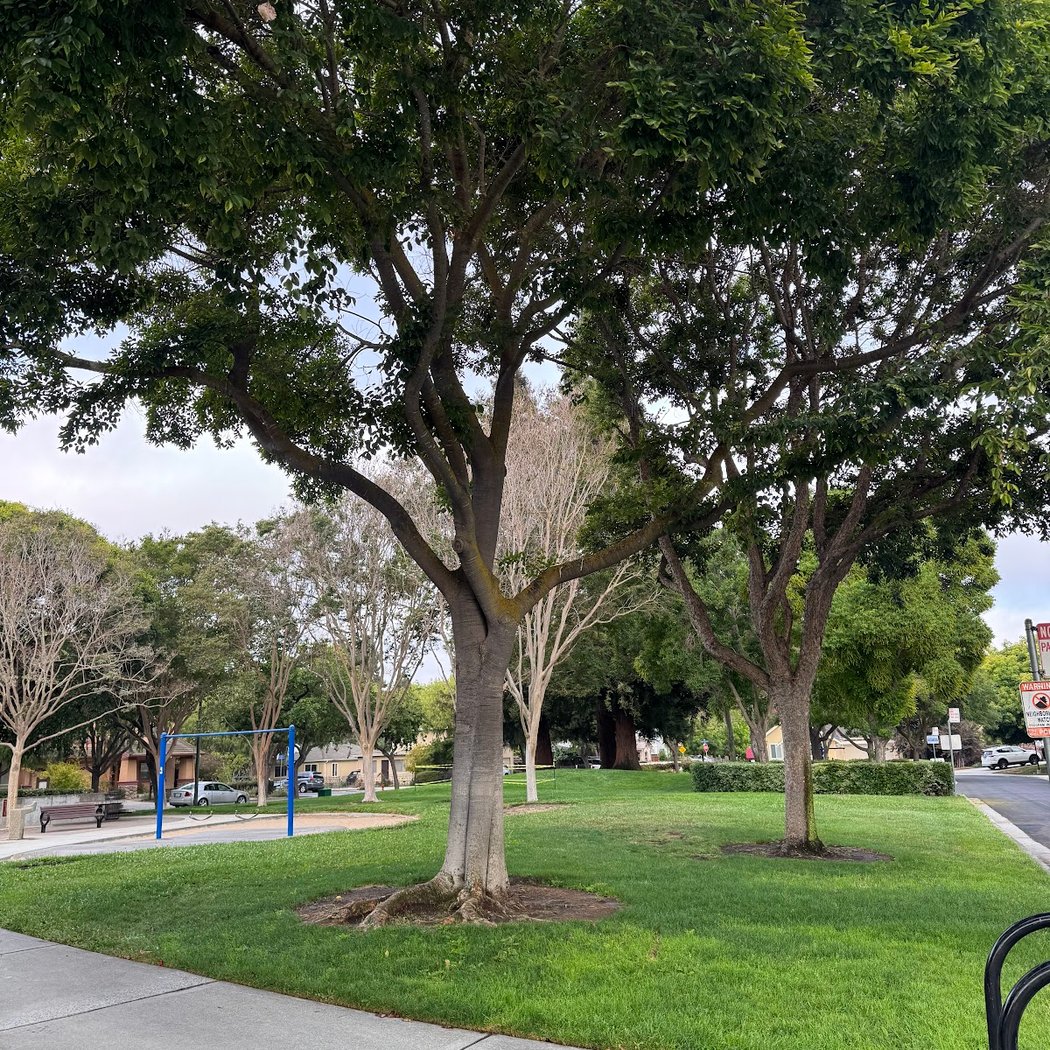 Jackson Park 3
