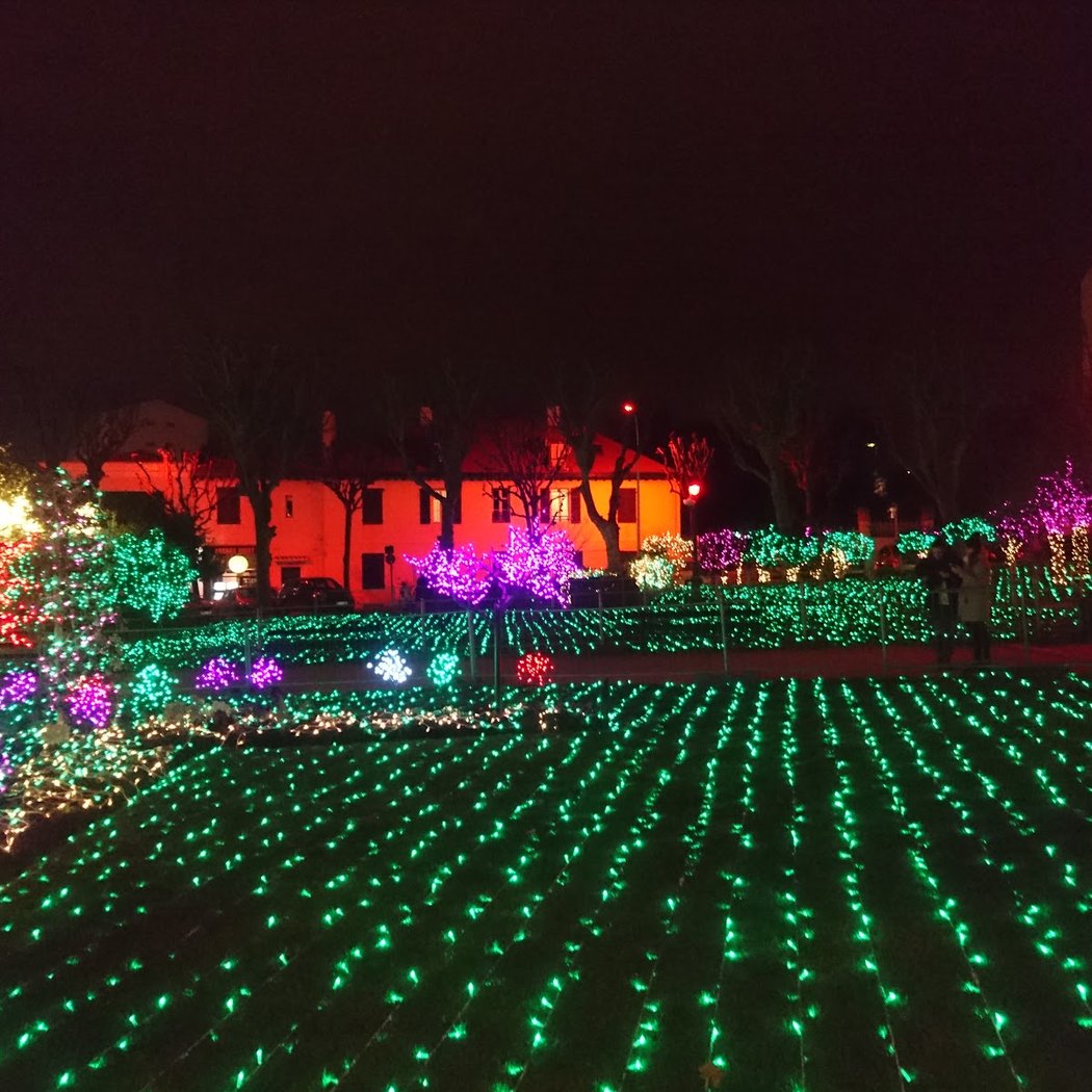 Pierre Forsans Public Garden 3