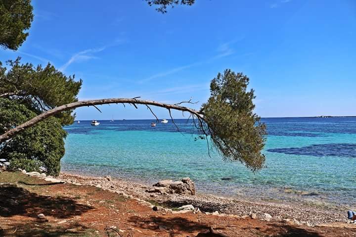 Île Sainte-Marguerite 5