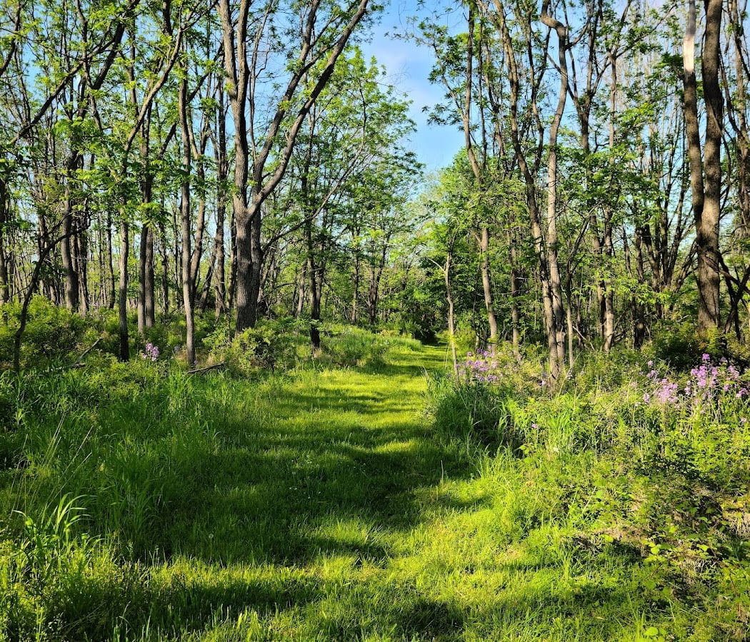 Peace Valley Nature Center 2