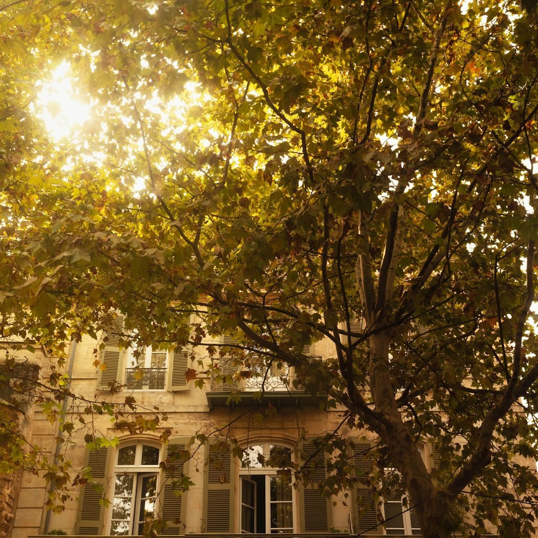 Grand Hôtel Nord-Pinus 2