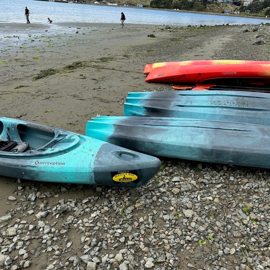 Bodega Bay Kayak 2