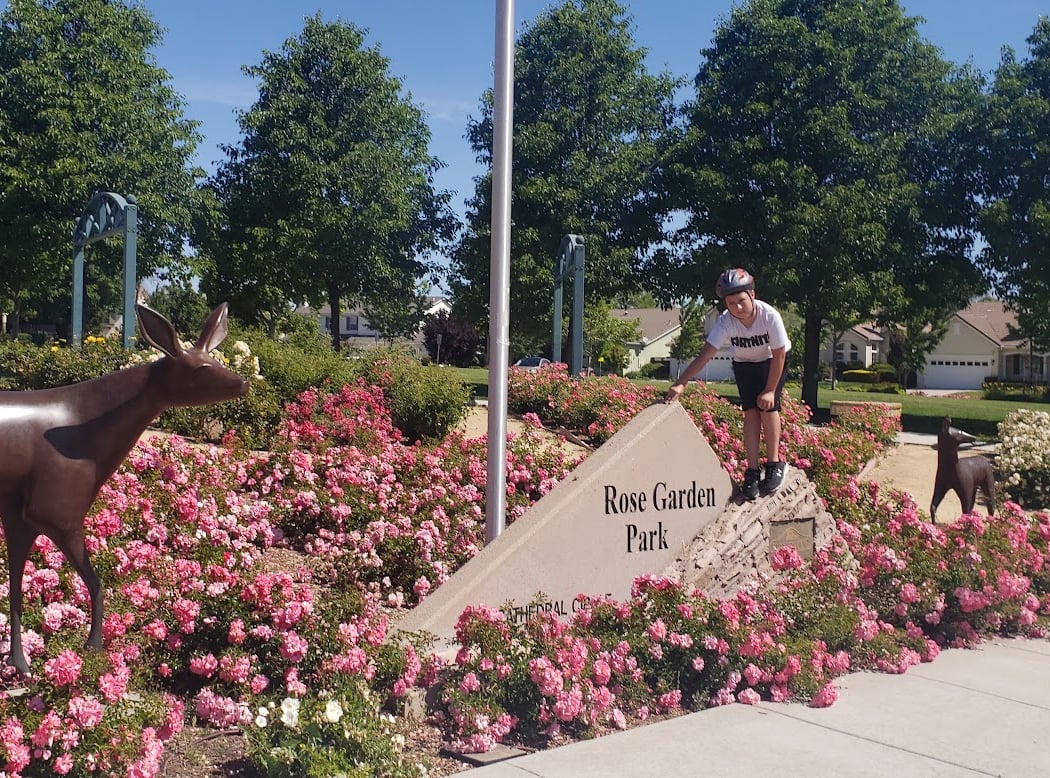 Rose Garden Park 1