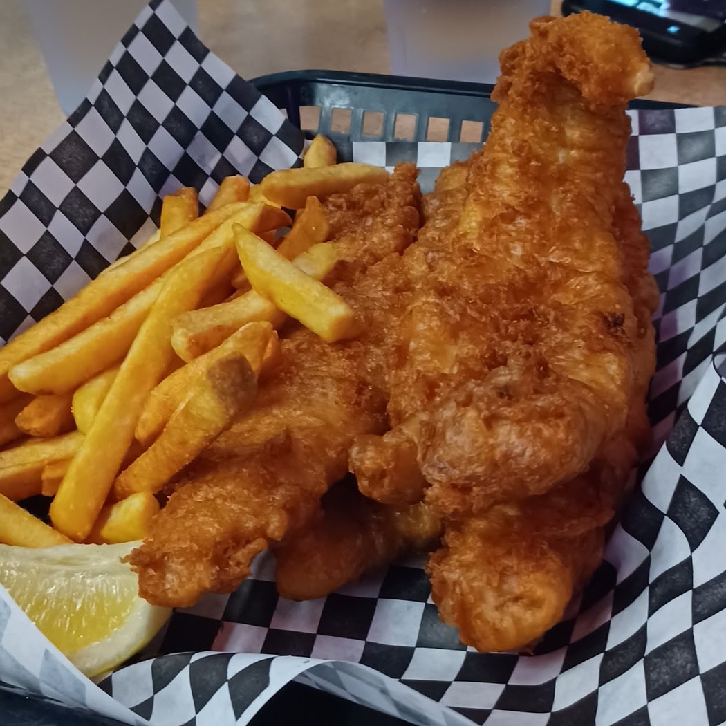 The City Fish 1