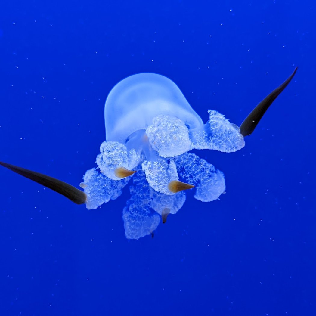 Explore the Acuario de Sevilla 2