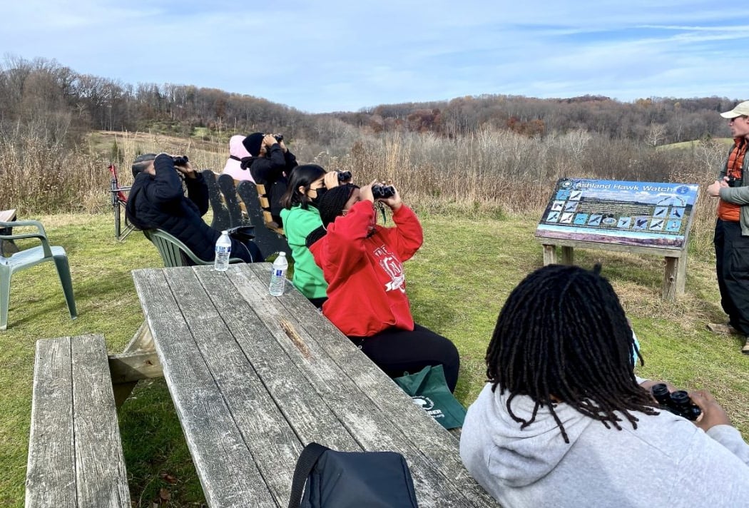 Hawk Watch 2