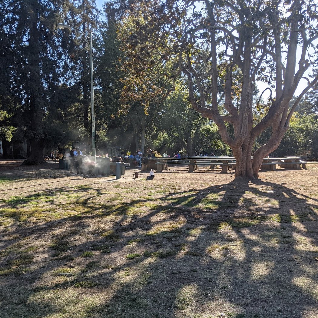 Cuttin' some ivy in Oakland's urban redwood forest 3