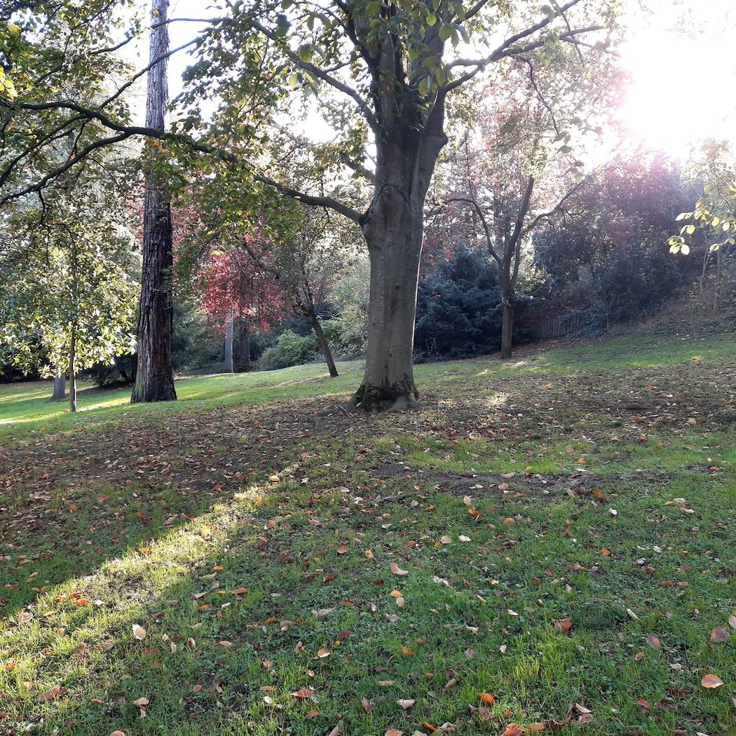 Parc Henri Barbusse 3