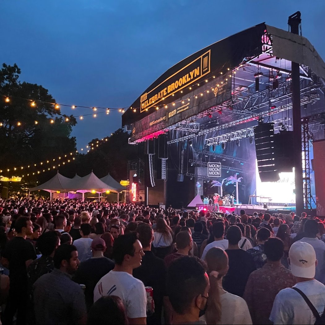 Outdoor punk rock concert featuring Gogol Bordello 2