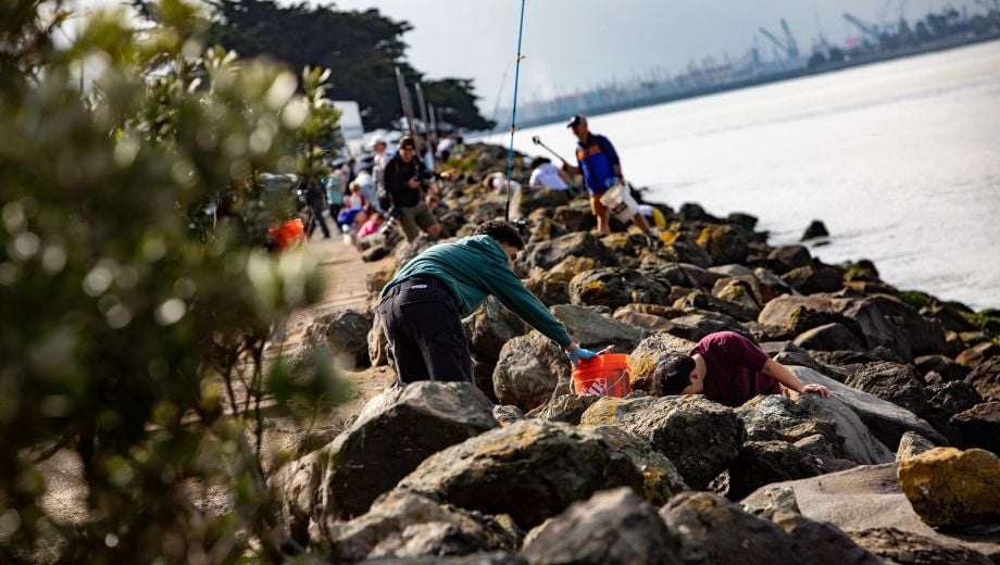 3rd Saturday Shoreline Cleanup 1