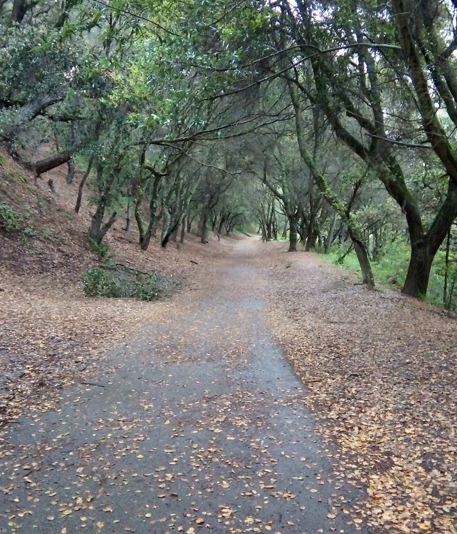 Montclair Railroad Trail 1