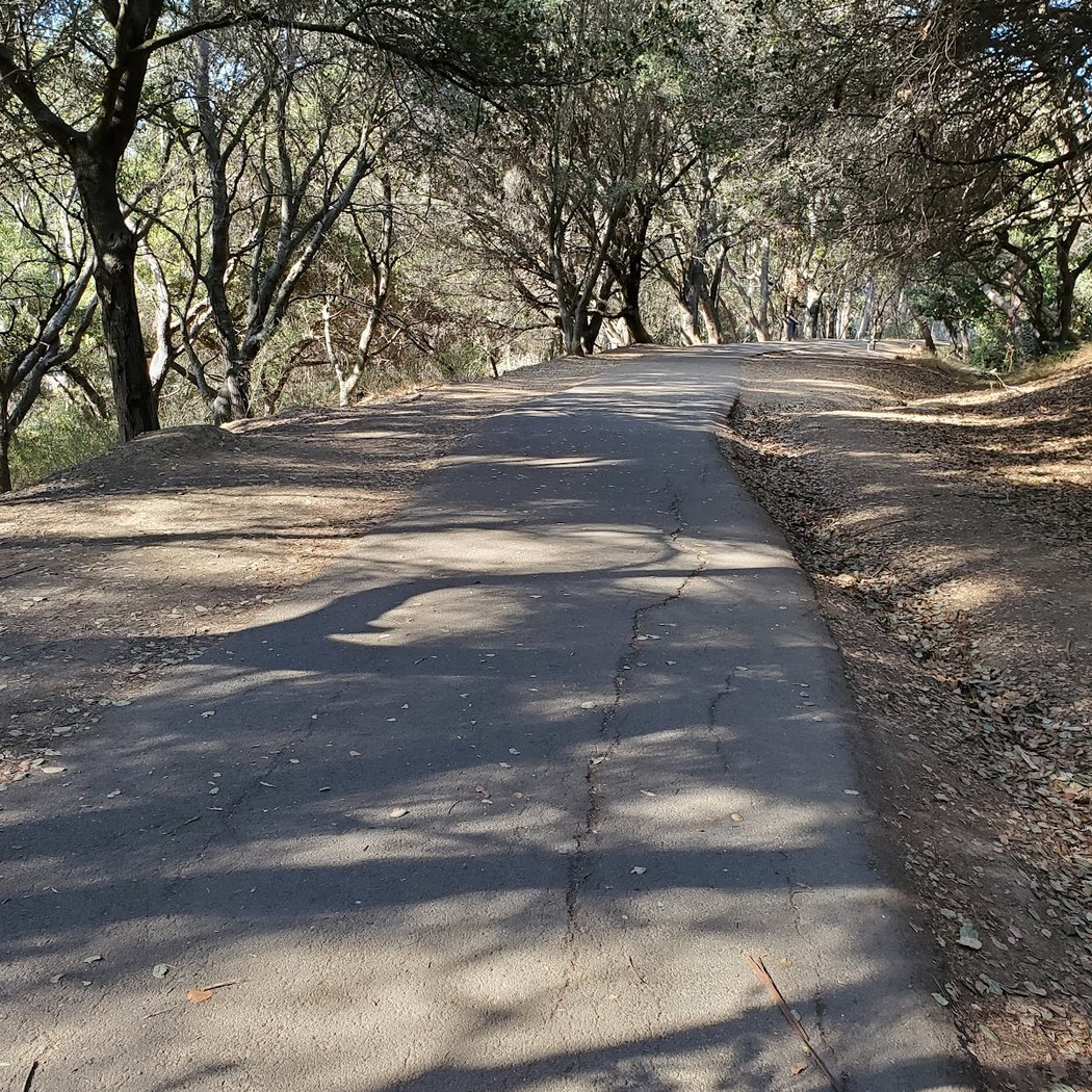 Montclair Railroad Trail 2