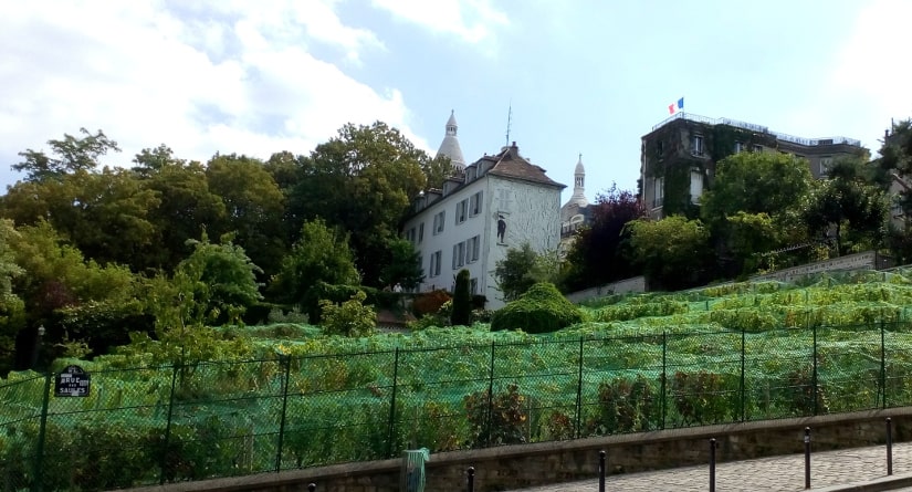 La Commanderie du Clos Montmartre 2