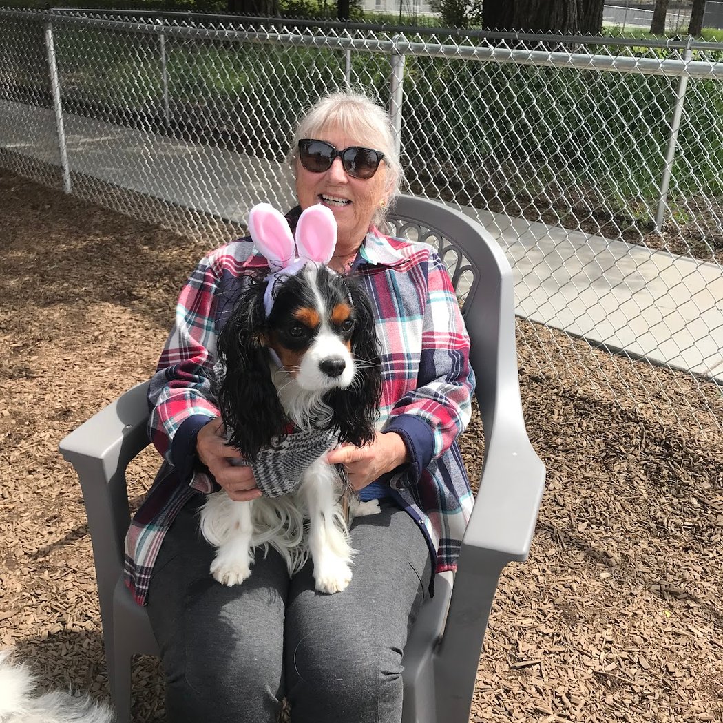 Rincon Valley Community Dog Park 1