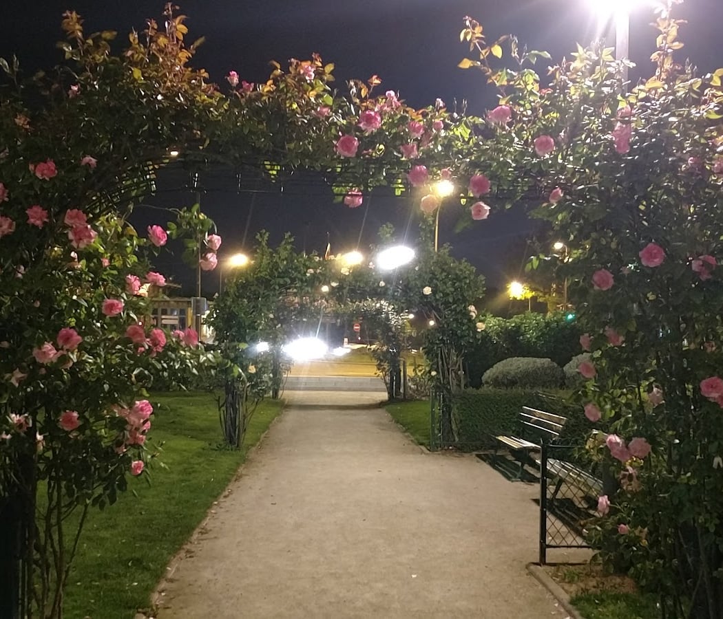 Mères et Grands-Mères de la Place de Mai Garden 2
