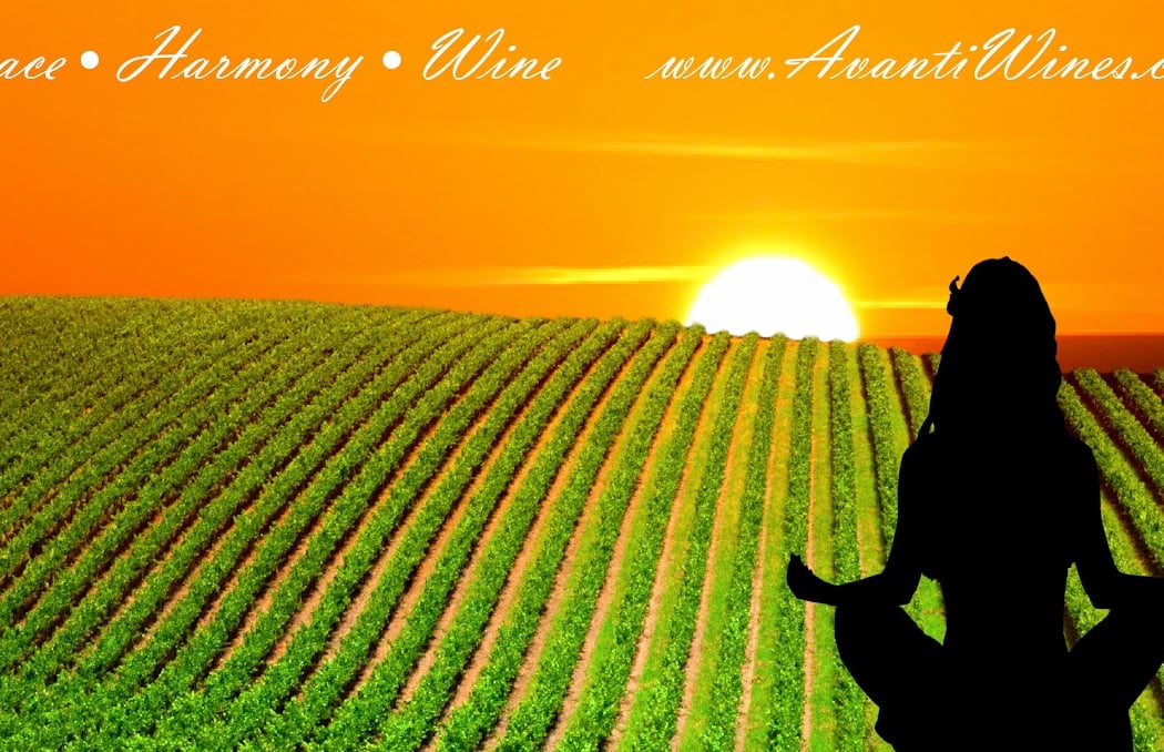 SHANTI Yoga 1