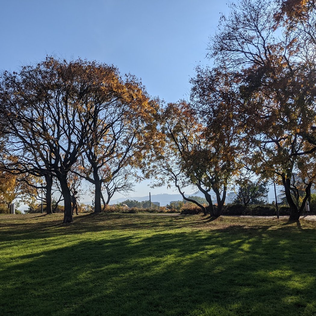 CALMING YIN IN THE PARK 2