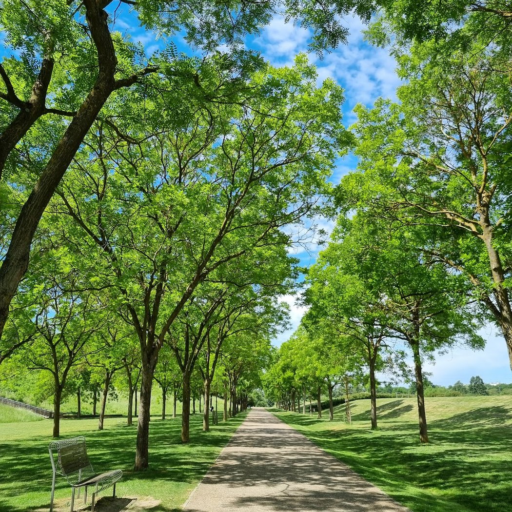 Le Bel Été Solidaire 1