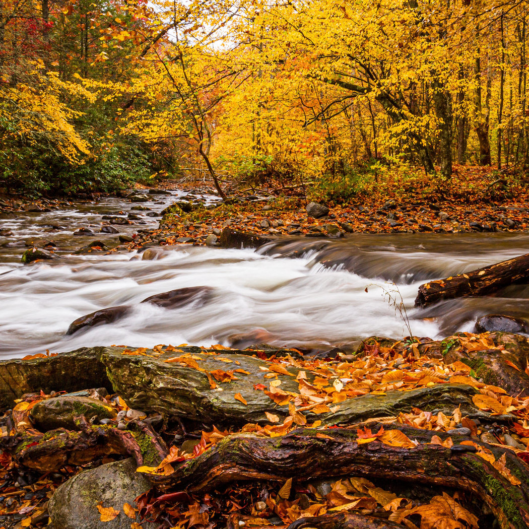 Self-Guided: Autumn Colors 3