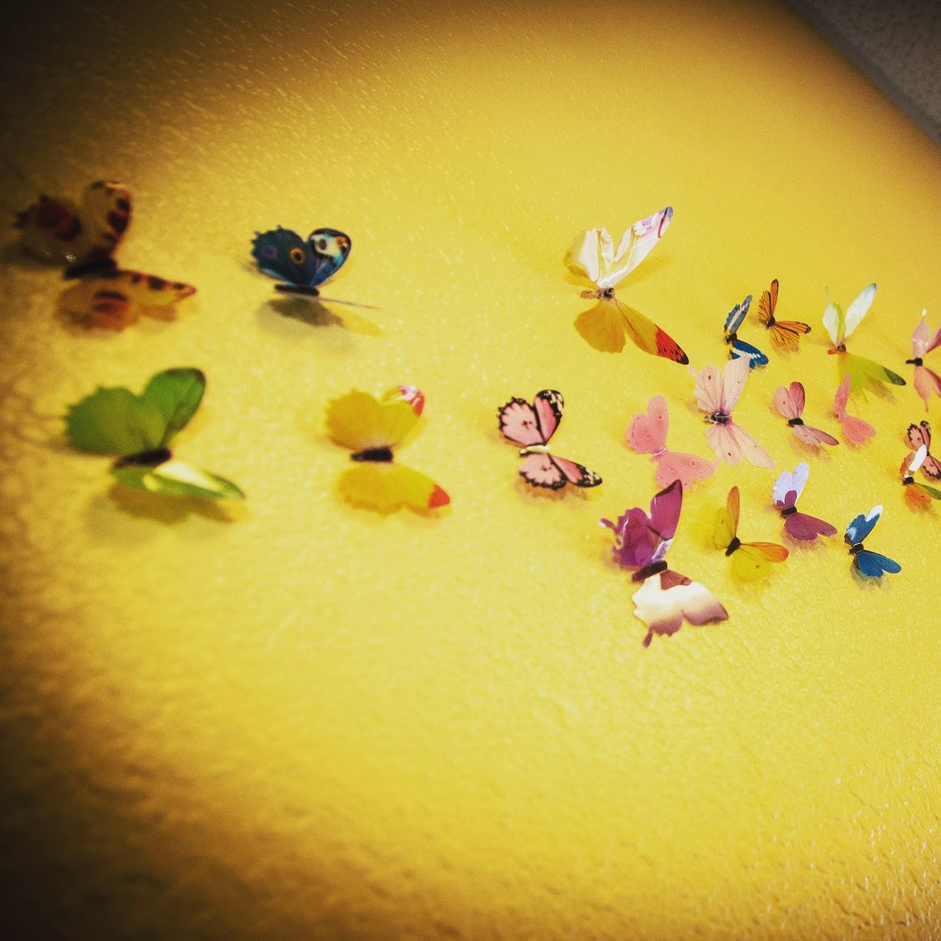 Little Butterflies- A Sensory Play-Based Preschool 2