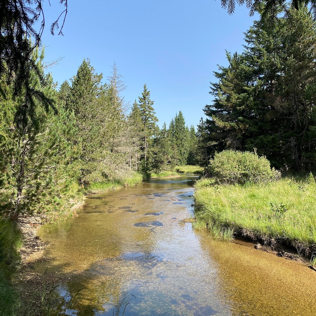 Le Petit Canada 3