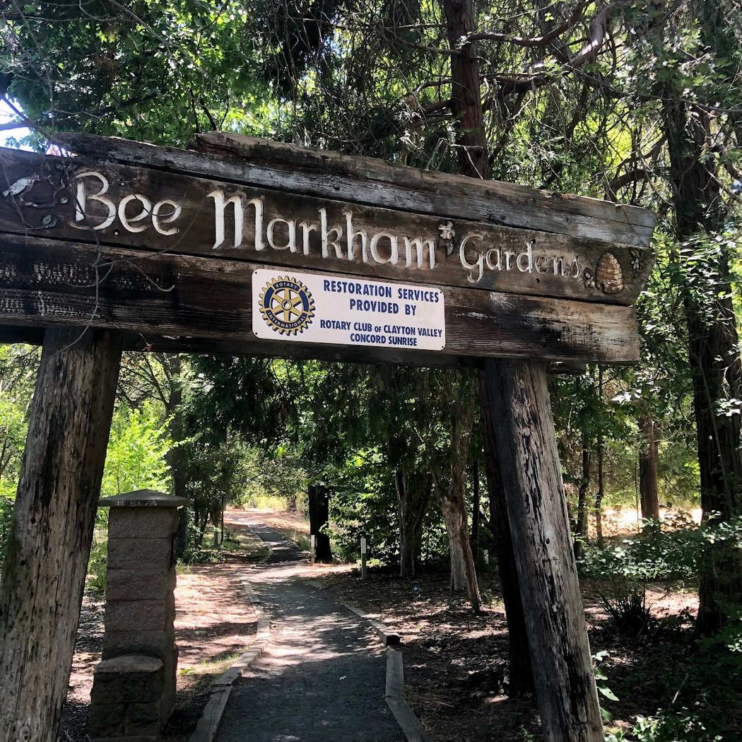 Markham Regional Arboretum 2