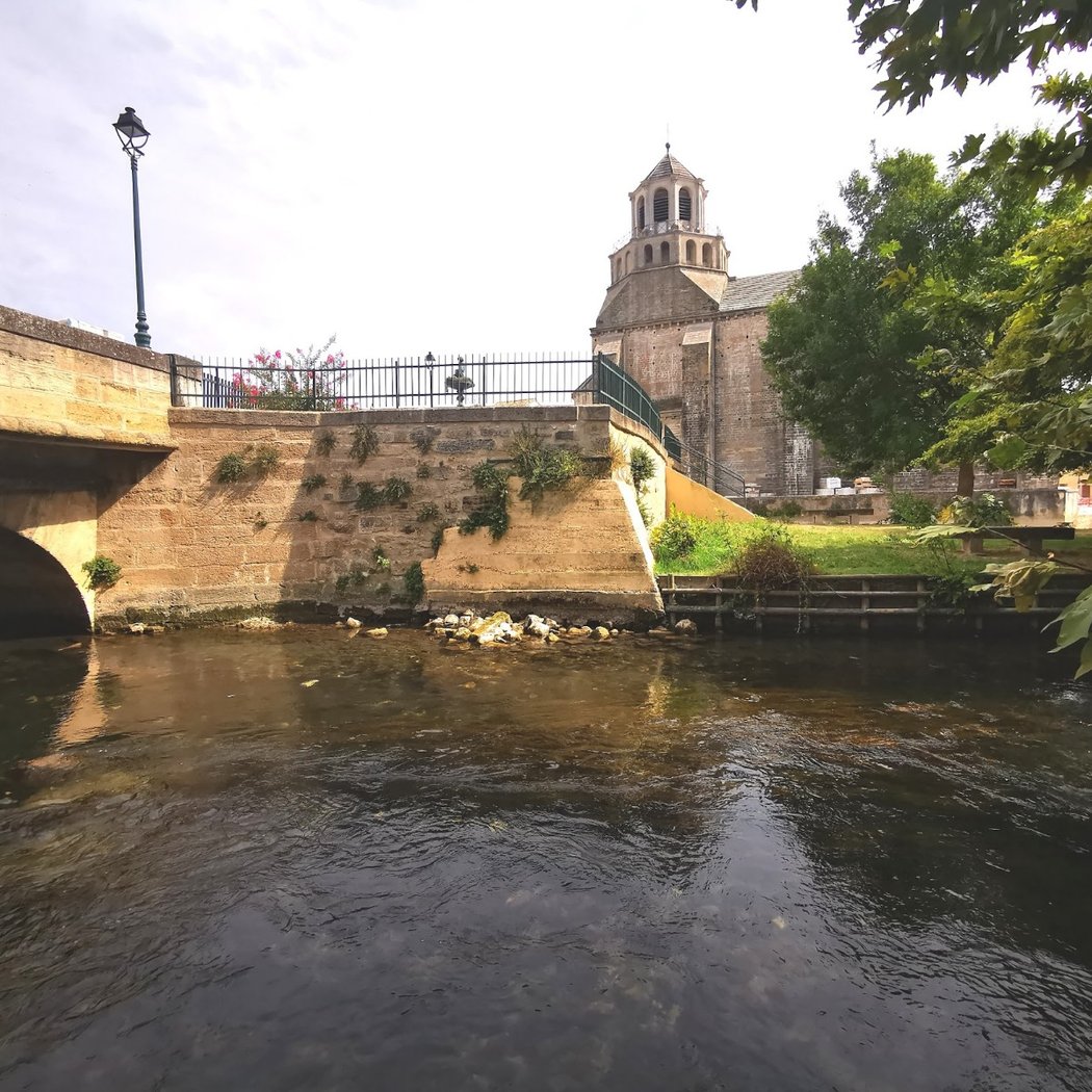 Avignon 3