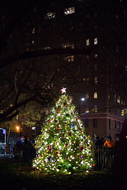 Holiday Tree Lighting 1