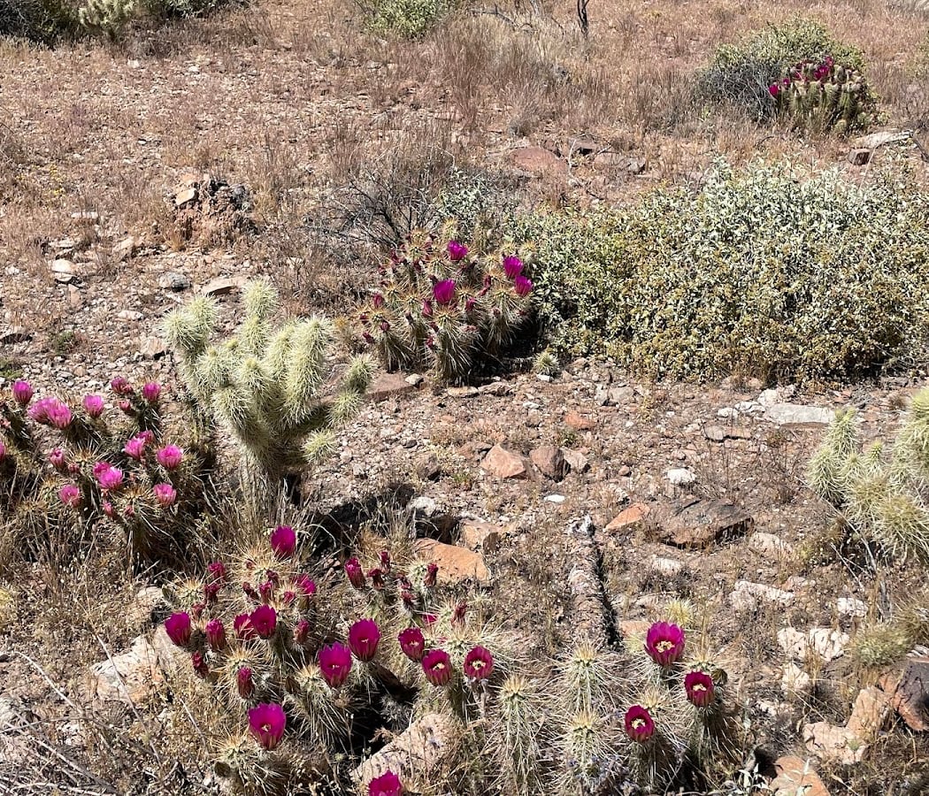 Sunrise Trail Group Hike 3