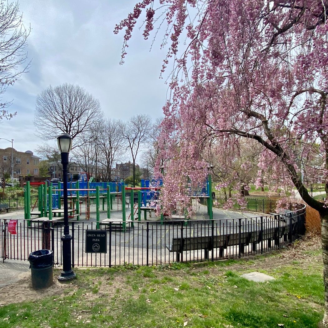 Owl's Head Park Playground 1