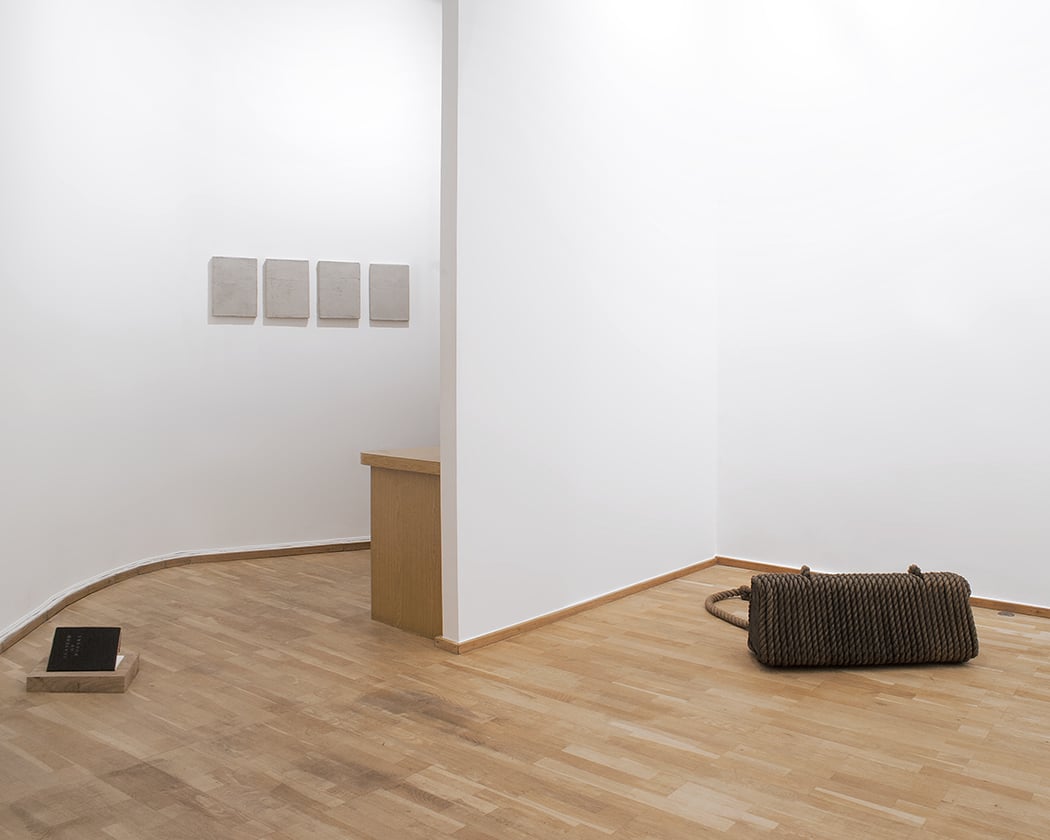 Susana Solano: Derniers Mots — Galerie Bernard Bouche 3