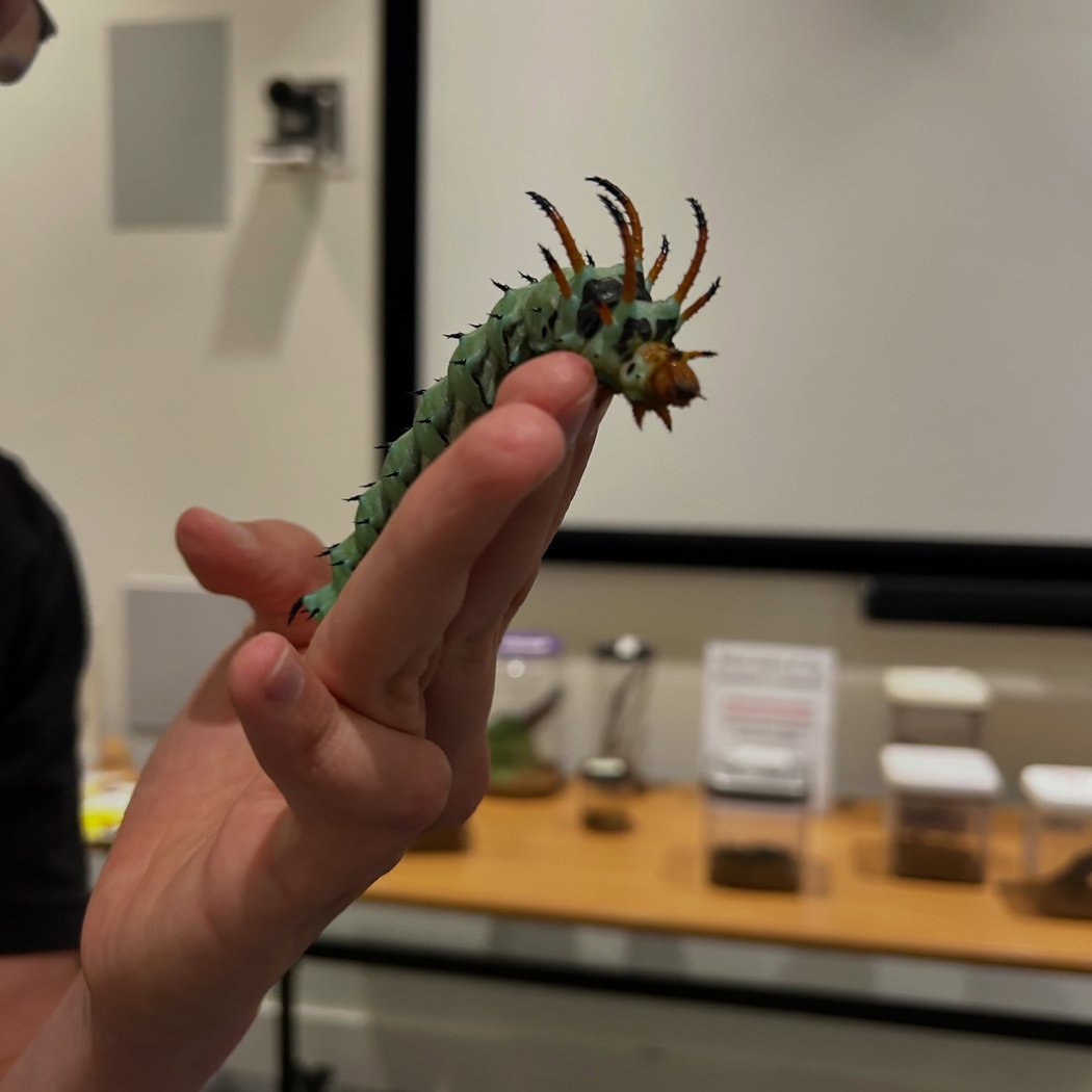 Delaware Museum of Nature & Science 2