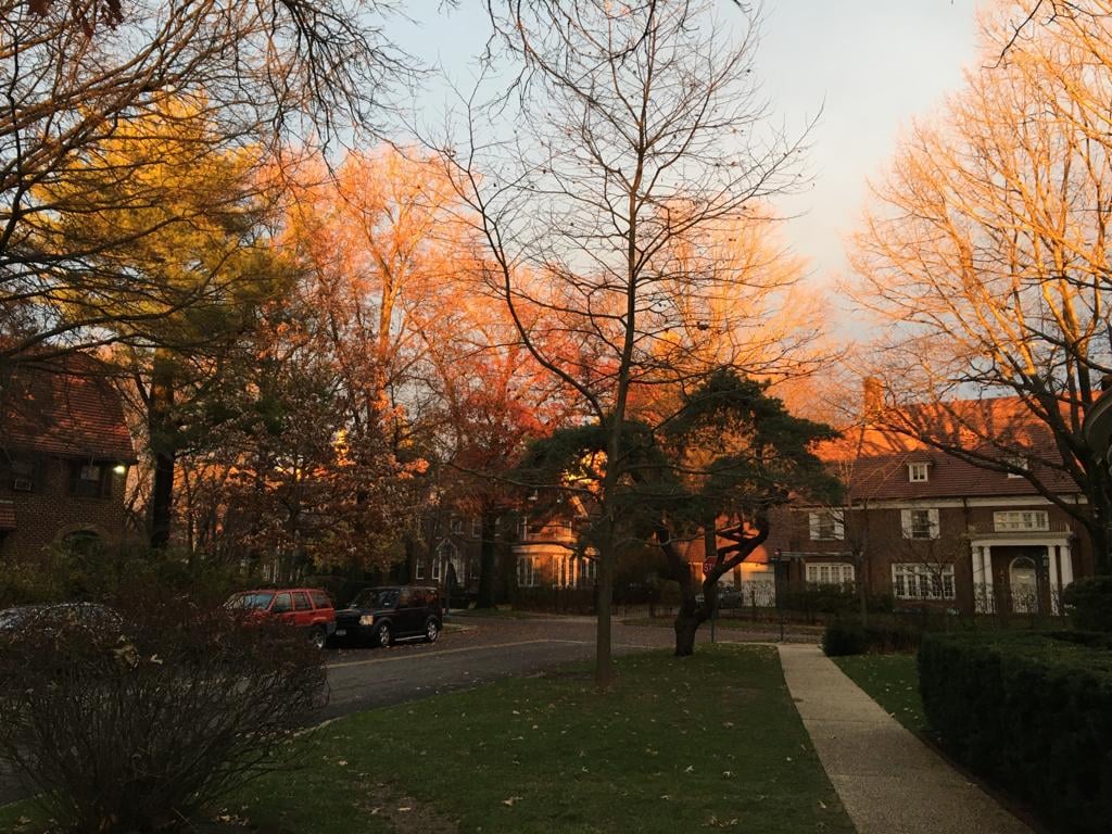Forest Hills 5