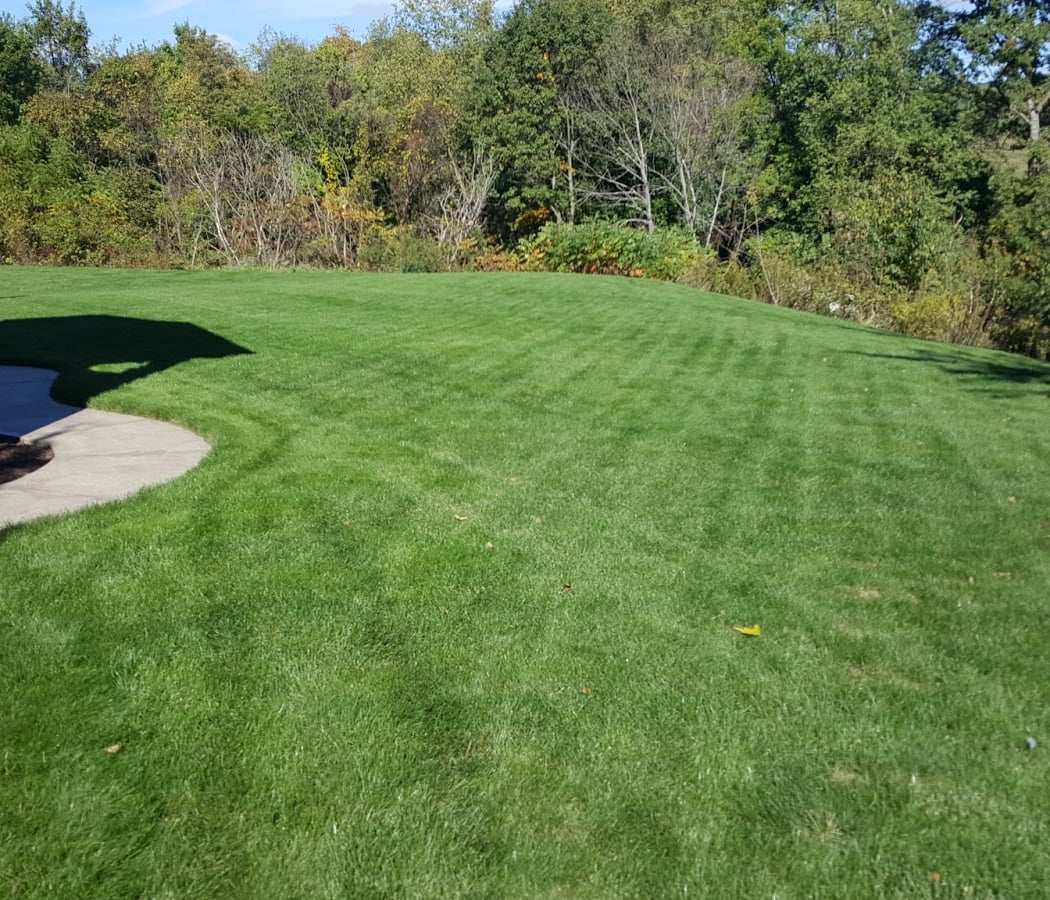Lawn Armor Lawn Treatment Company 2