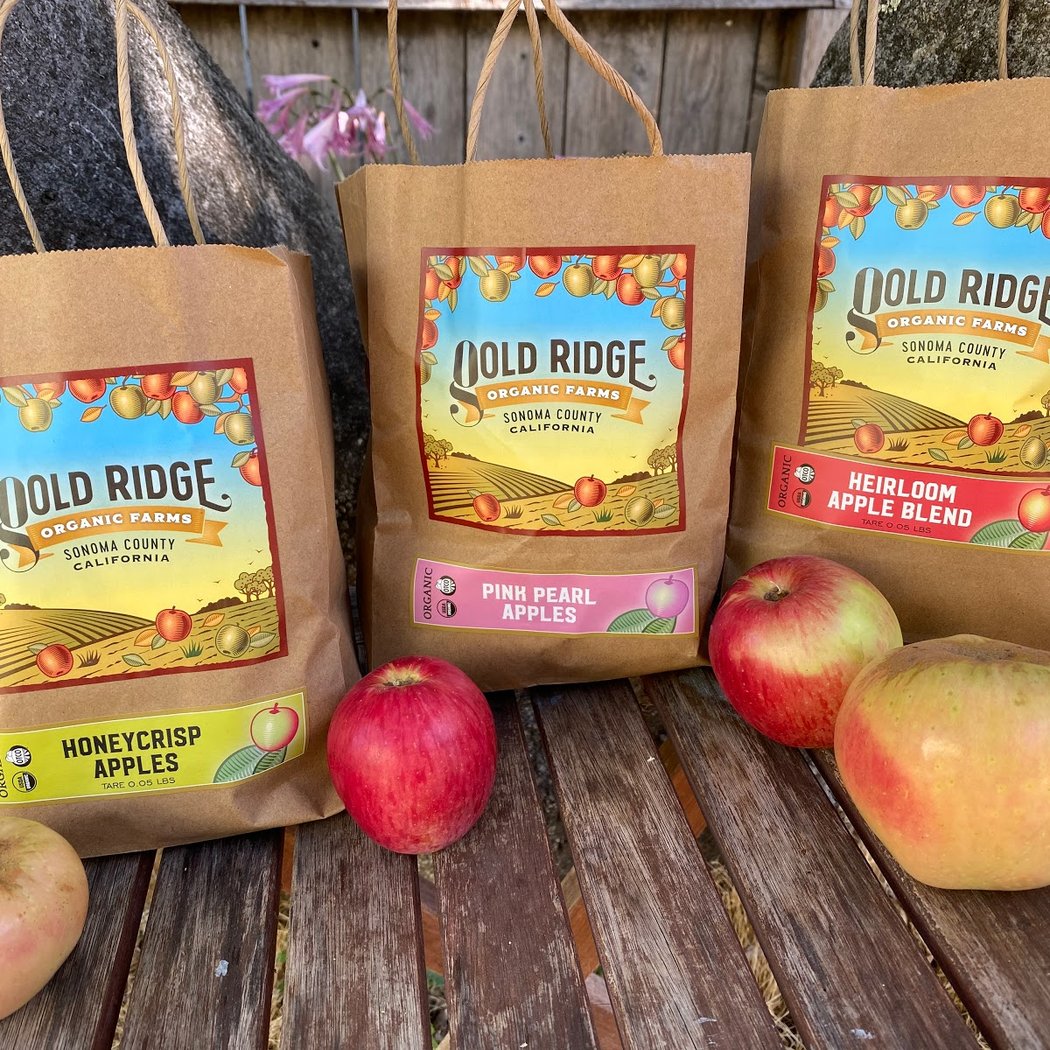 Ride Through the Apple Blossoms 5