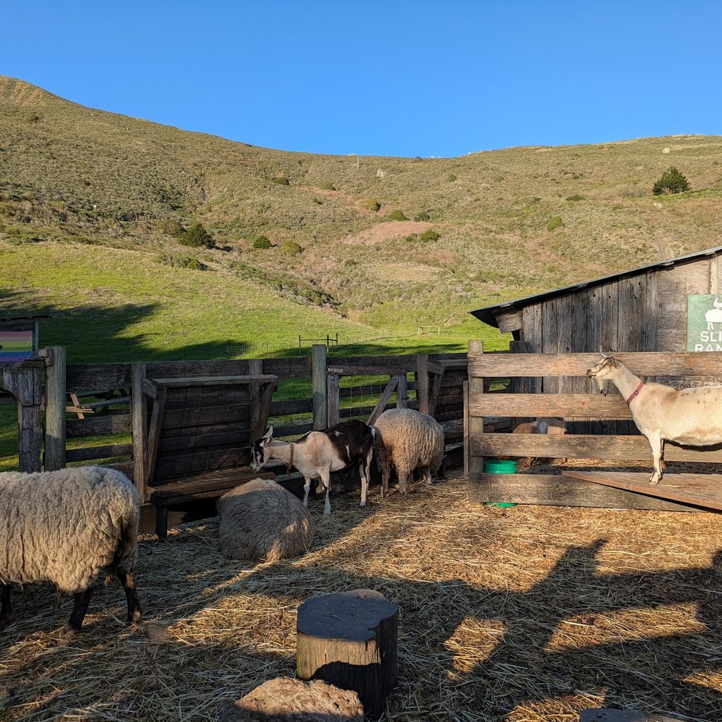 Fall Family Farm Days 1