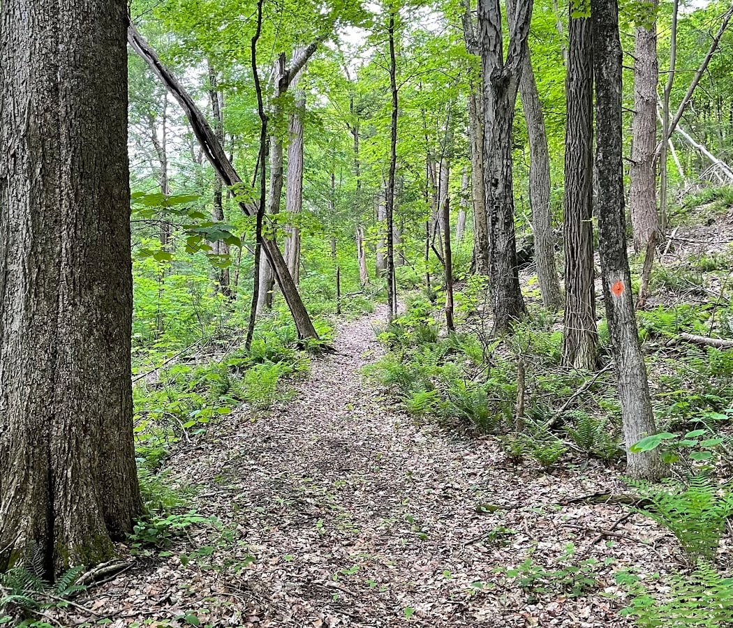 Pawling Natural Preserve Secondary Access Point 3