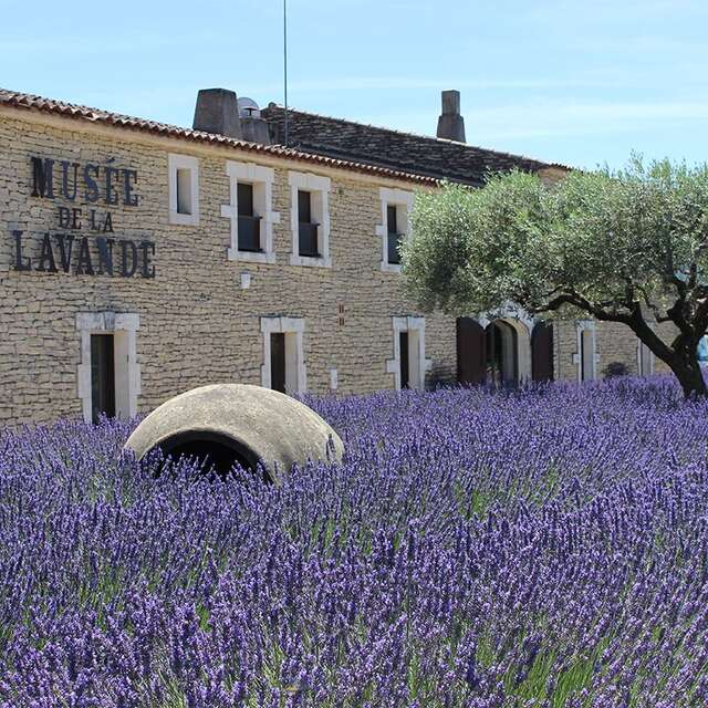 Musée de la Lavande Luberon 1