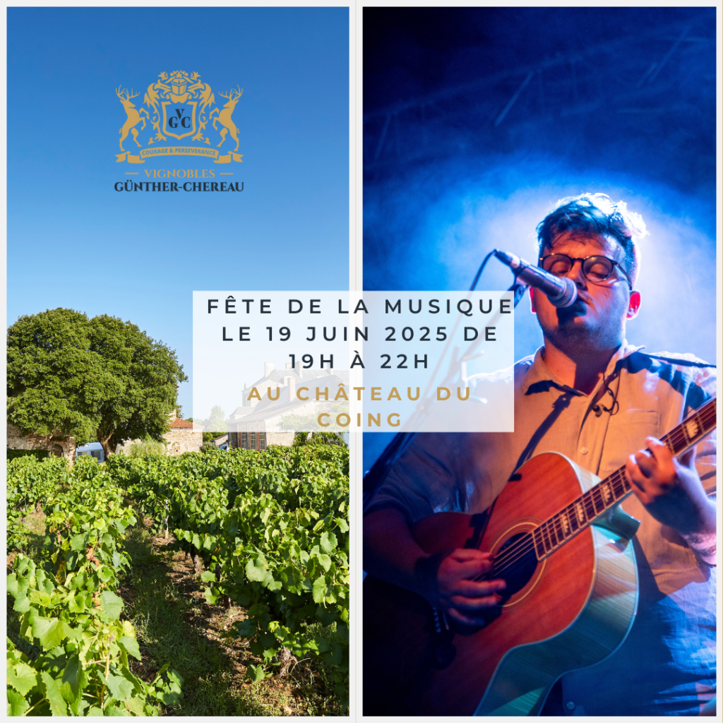 La Fête de la Musique 1