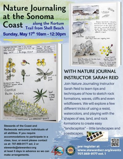 Nature Journaling 1