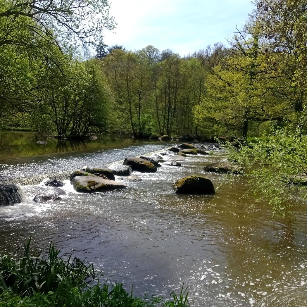 La Sèvre Nantaise 2