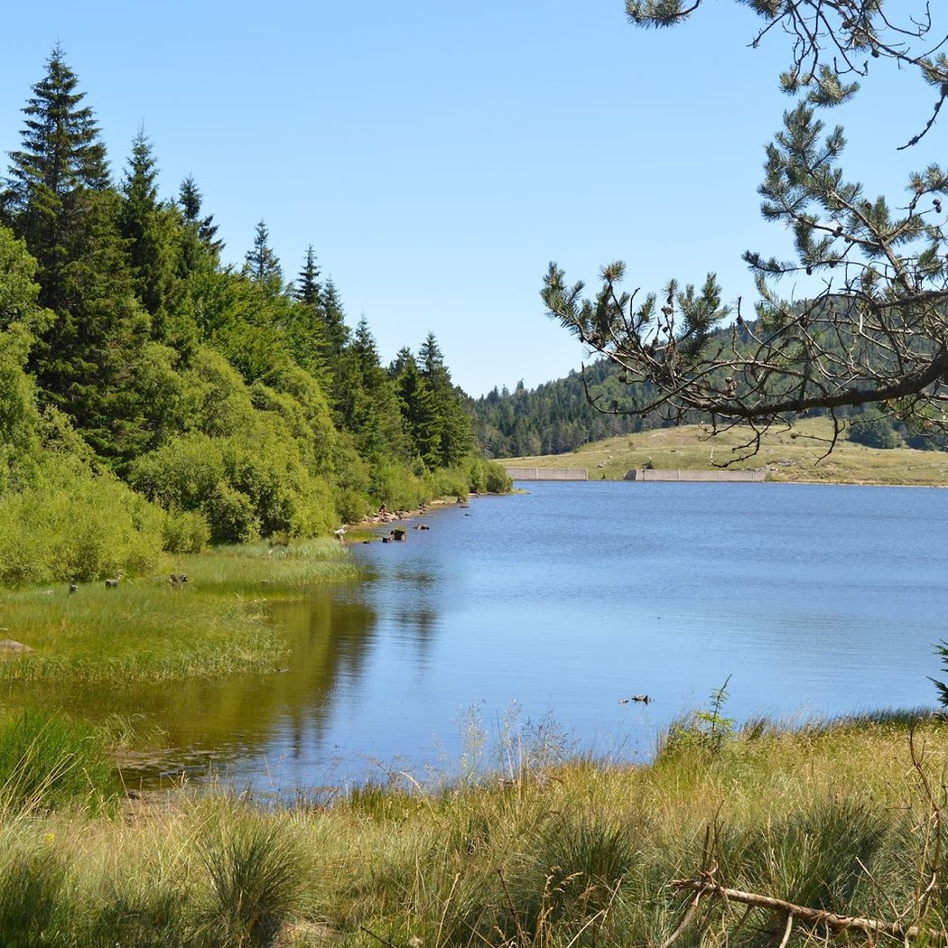 Lac des Pises 2