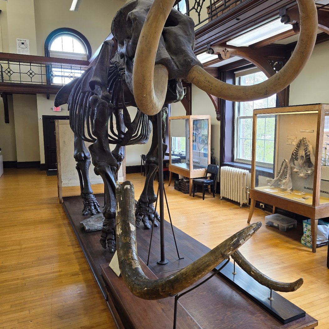 Rutgers Geology Museum 1