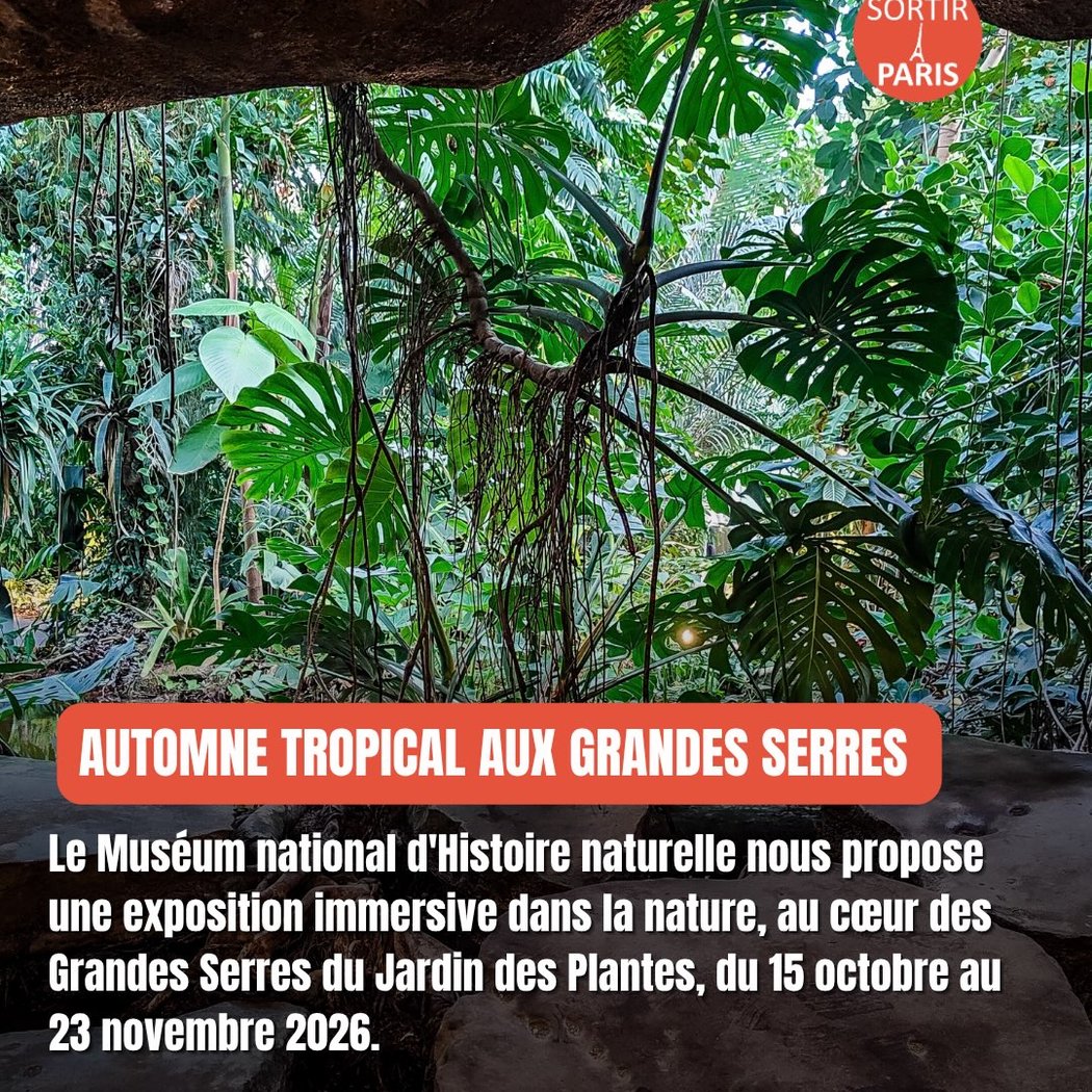 Automne Tropical